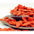 ningxia goji berry liquid goji berry artificial plastic red berries